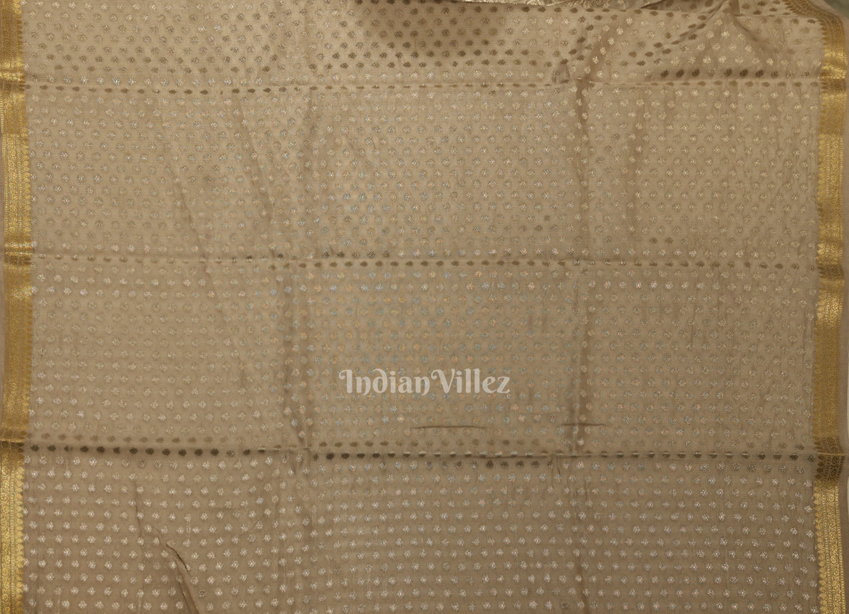 Silver Zari Woven Tissue Banarasi Saree with Floral Handwork