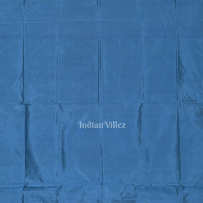 Light Blue Tribal Theme Odisha Handloom Contemporary Silk Saree