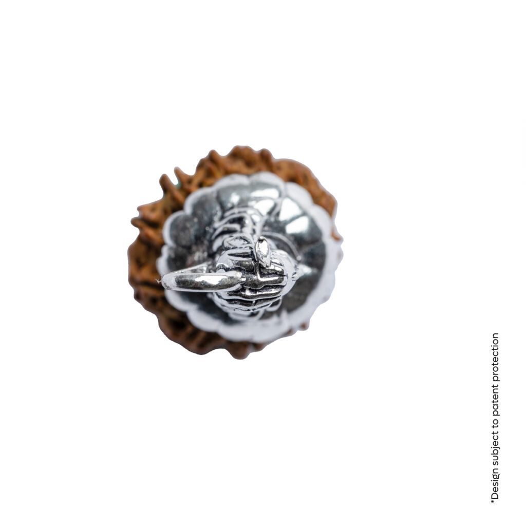 Adiyogi Pendant (11 Mukhi Nepali Rudraksha) With Chain