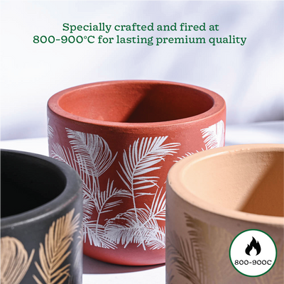 Sienna Terracotta Pots - Set of 3