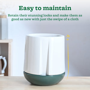 Moonlight Drama Ceramic Planter