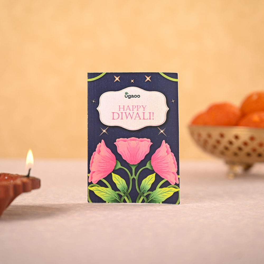 Money Plant Variegated & Phool Diwali Gift Hamper