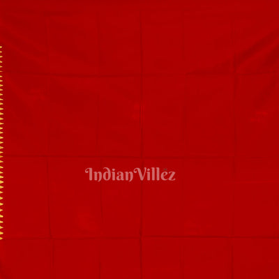 Parrot Green Dual Tone Tribal Themed Hand-Painted Pattachitra Saree