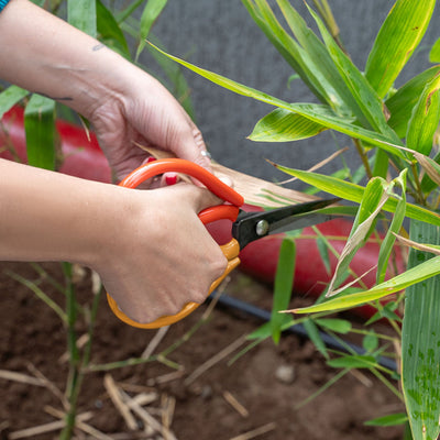 Straight Blade Cutter- D Handle