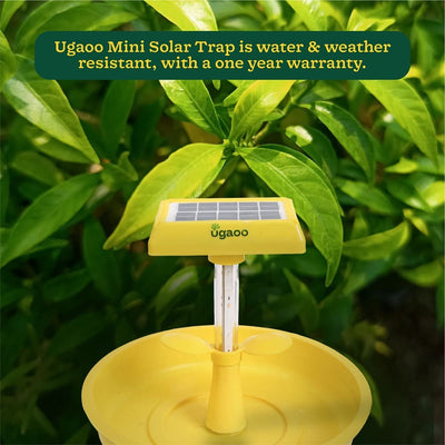 Mini Solar Light Insect Trap, Fly Killer Machine