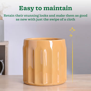 Blushing Sun Ceramic Planter