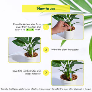 Sustee Watermeter (Set of 2)