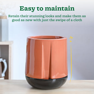 Moonlight Drama Ceramic Planter