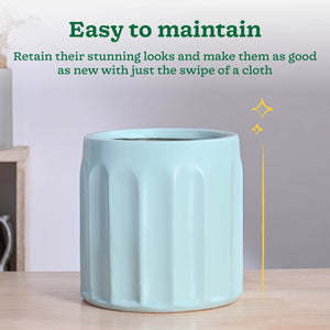 Blushing Sun Ceramic Planter