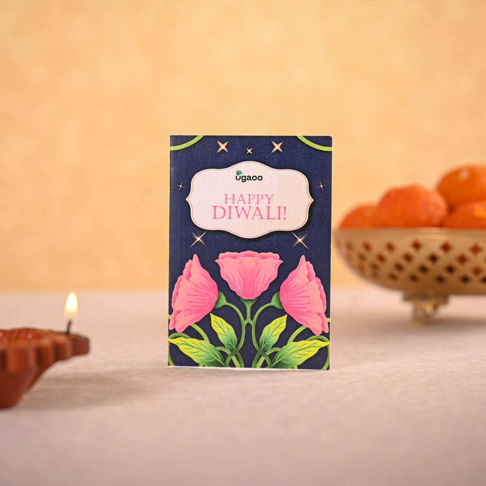 Snake Plant & Bombay Sweet Shop Diwali Gift Hamper