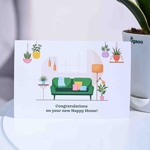 Snake Plant - Golden Hahnii Housewarming Gift Hamper