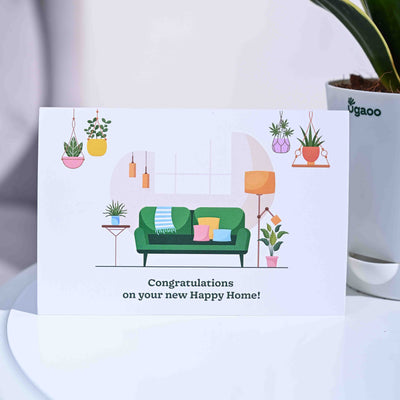 Snake Plant - Golden Hahnii Housewarming Gift Hamper