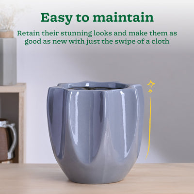 Tranquil Tales Ceramic Planter