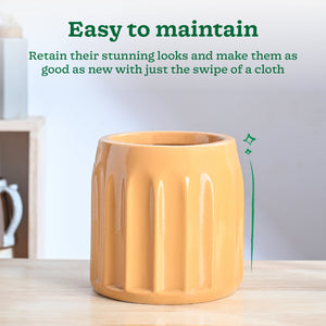 Blushing Sun Ceramic Planter