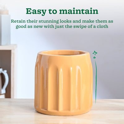 Blushing Sun Ceramic Planter