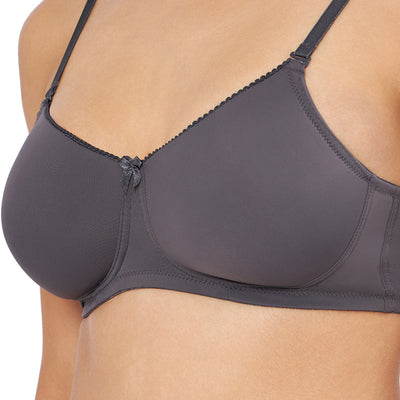 Smooth Elegance Padded Non-wired T-shirt Bra - Gray Pinstripe