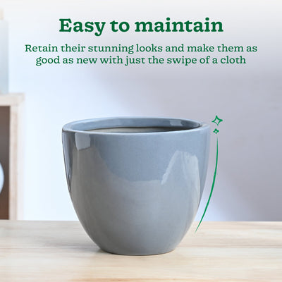 Echoing Eternity Ceramic Planter