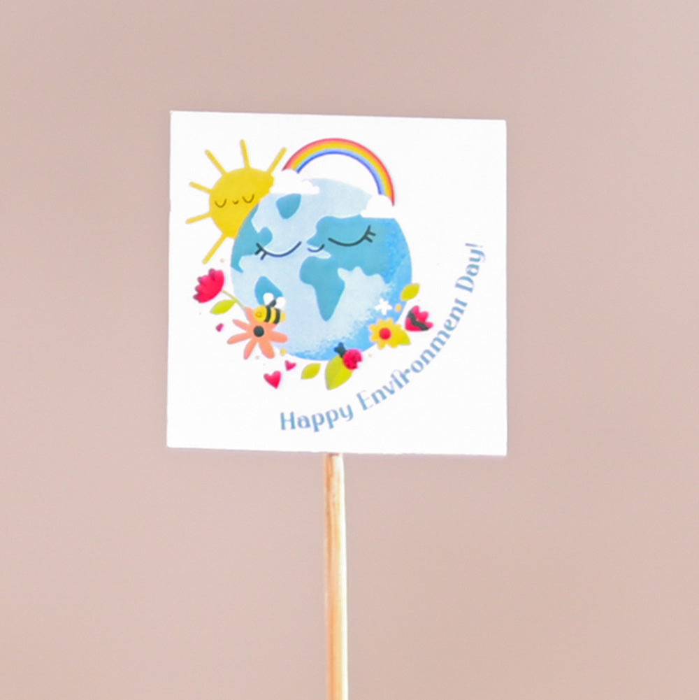 Philodendron Brasil Plant For Environment Day Gifting