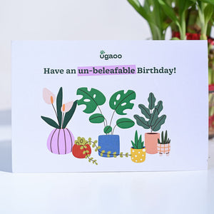 Lucky Bamboo Birthday Gift Hamper