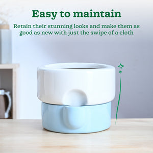 Flower Sunflower Ceramic Planter