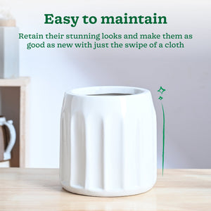 Blushing Sun Ceramic Planter