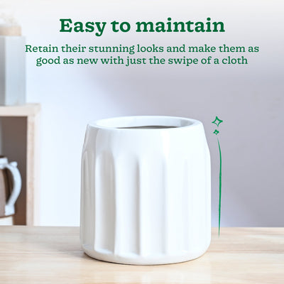 Blushing Sun Ceramic Planter