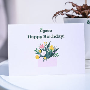 Earth Star Birthday Gift Hamper