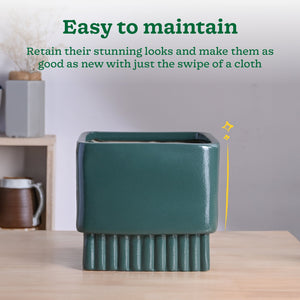 Immortal Nights Ceramic Planter