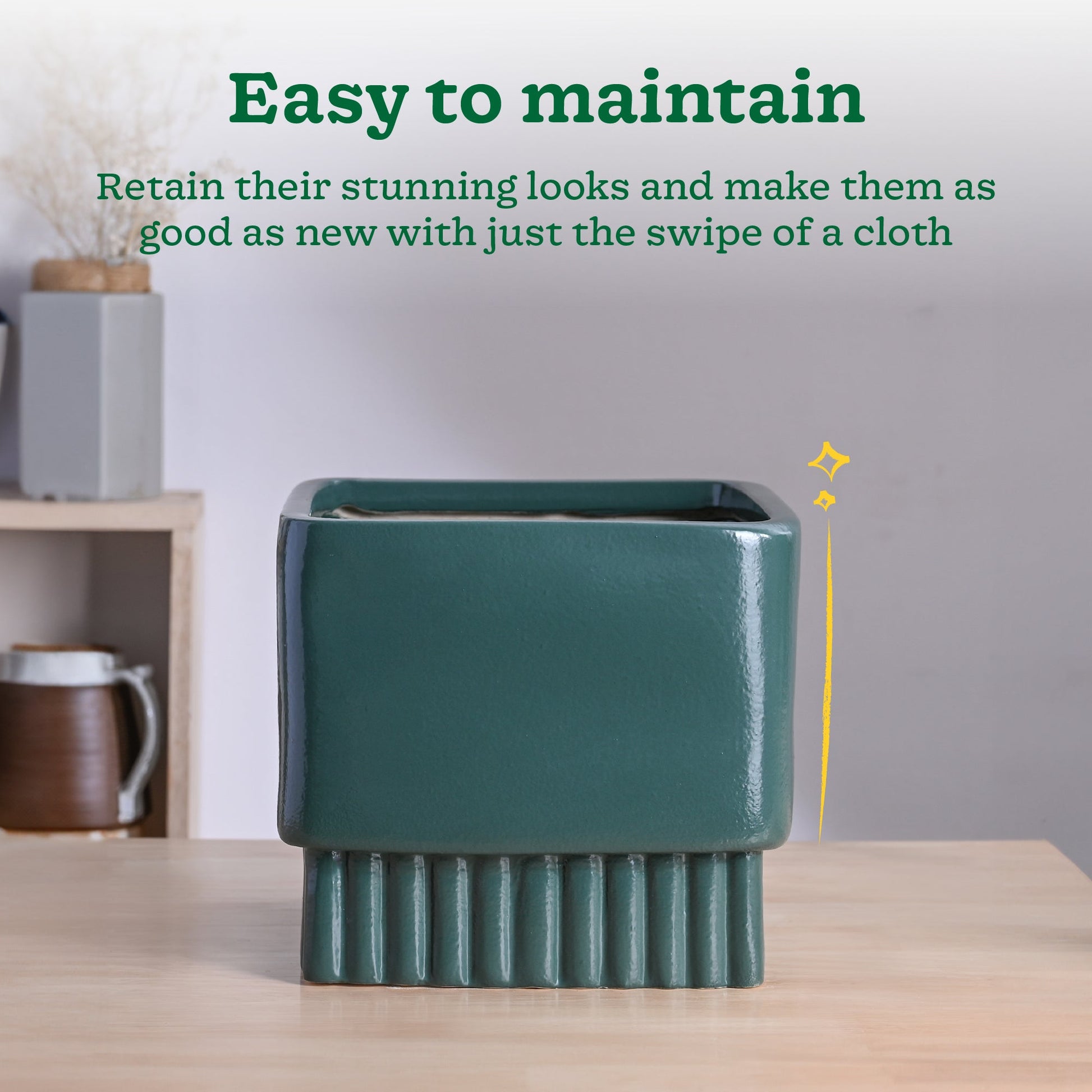 Immortal Nights Ceramic Planter