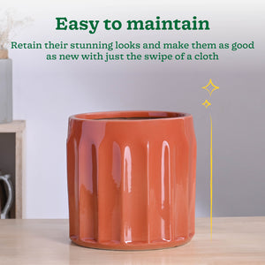 Blushing Sun Ceramic Planter