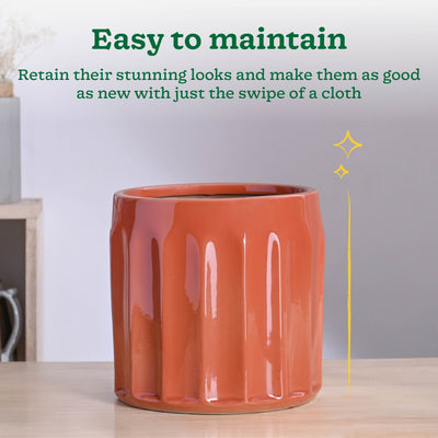 Blushing Sun Ceramic Planter