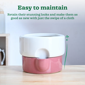 Flower Sunflower Ceramic Planter