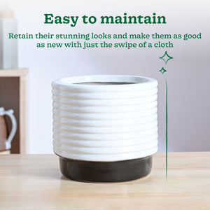 Untold stories Ceramic Planter