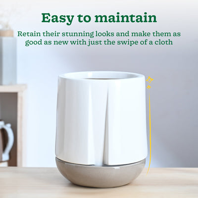 Moonlight Drama Ceramic Planter