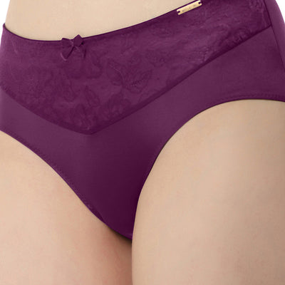 Elegant Lace Hipster Panty - Pickled Beet & Stucco