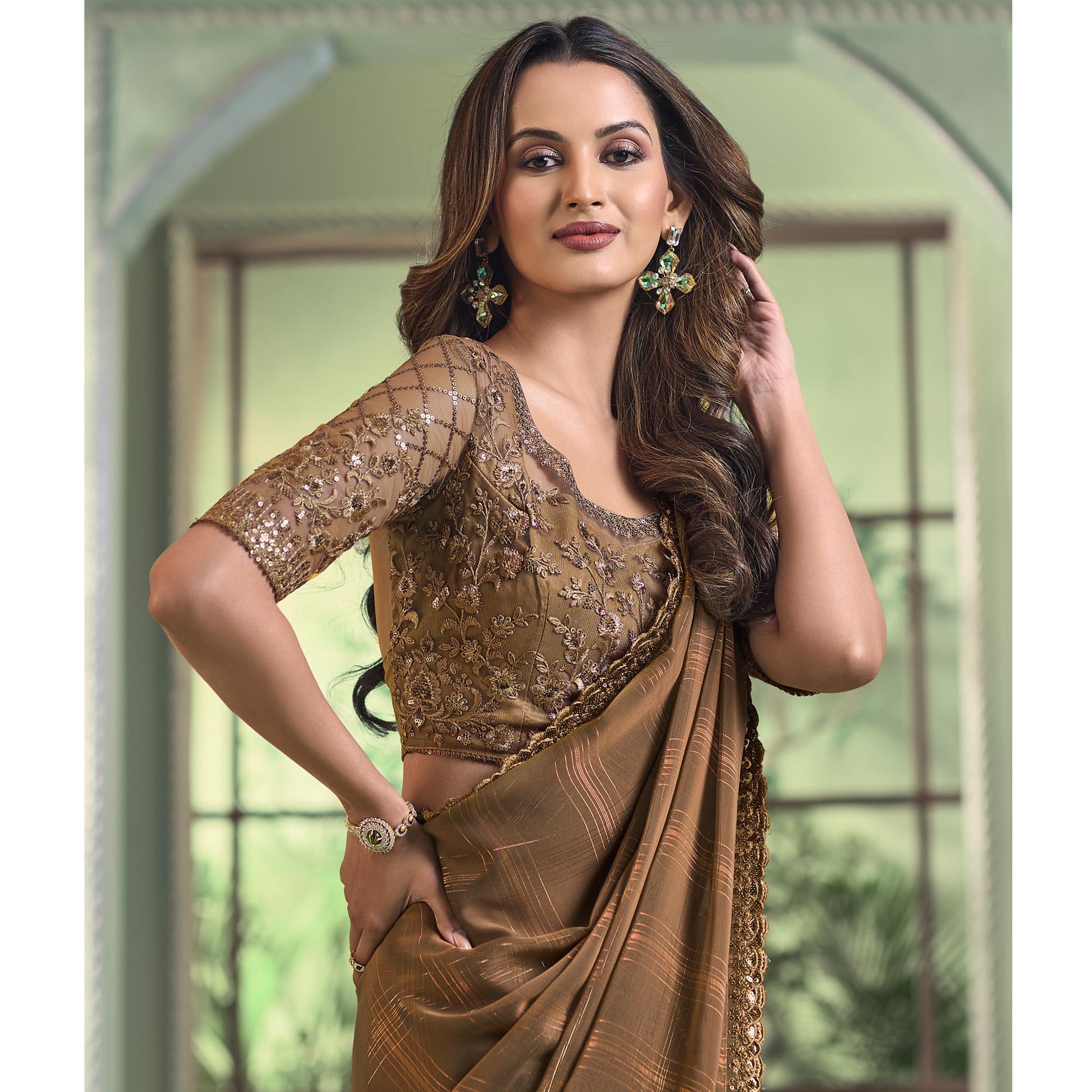 Chikoo Embroidered Georgette Designer Saree