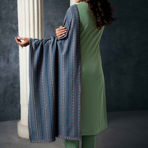 green-embroidered-woolen-straight-salwar-suit-2