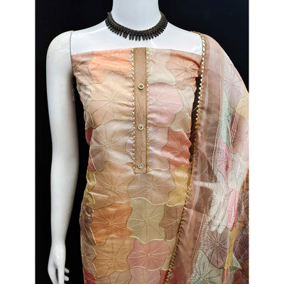 Chikoo Embroidered Organza Dress Material