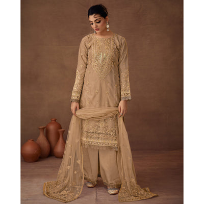 Chikoo Floral Embroidered Organza Semi Stitched Pakistani Suit