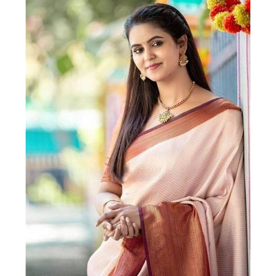 Chikoo Woven Banarasi Silk Saree
