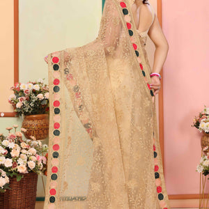 Chikoo Floral Embroidered Net Saree