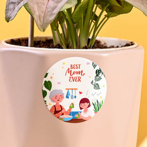 Syngonium Pink For Mother's Day Gifting