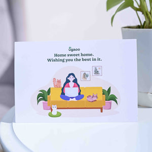 Money Plant Golden Housewarming Gift Hamper