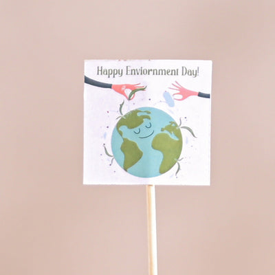 Peace Lily For Environment Day Gifting