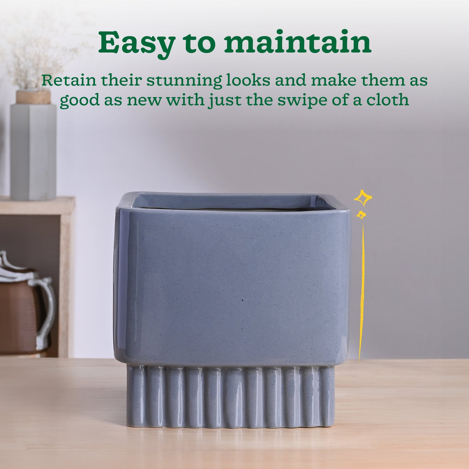 Immortal Nights Ceramic Planter