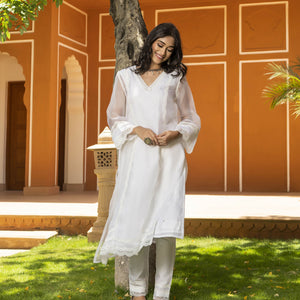 Sophia Organza Straight Kurta Set