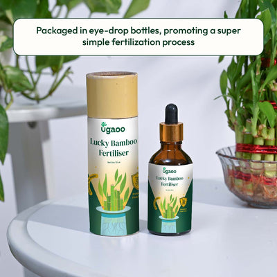 Lucky Bamboo Fertilizer