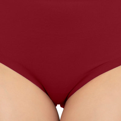 Vanish Seamless Full Brief Panty - Henna