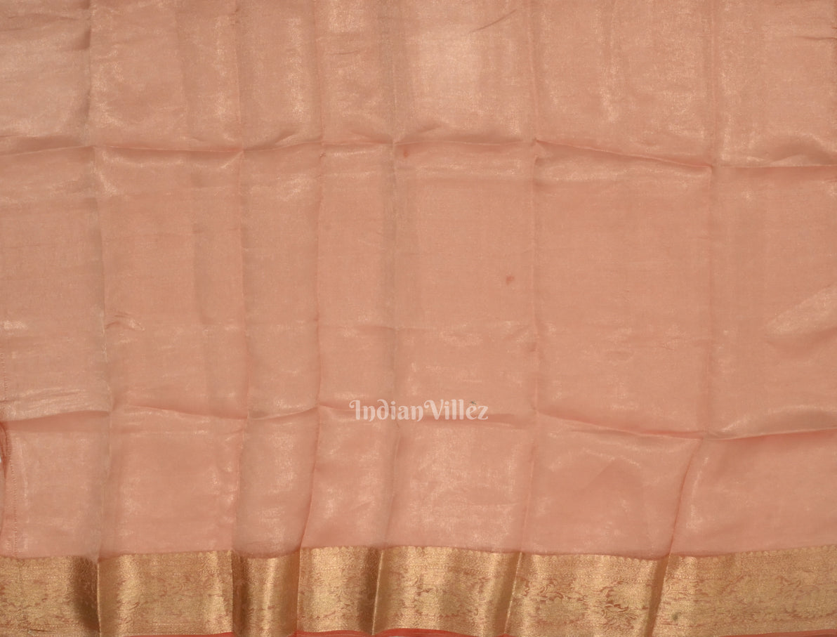 Beige Red with Golden Brocade  Tissue  Banarasi Saree