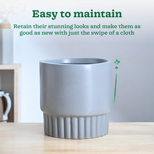 Immortal Nights Ceramic Planter